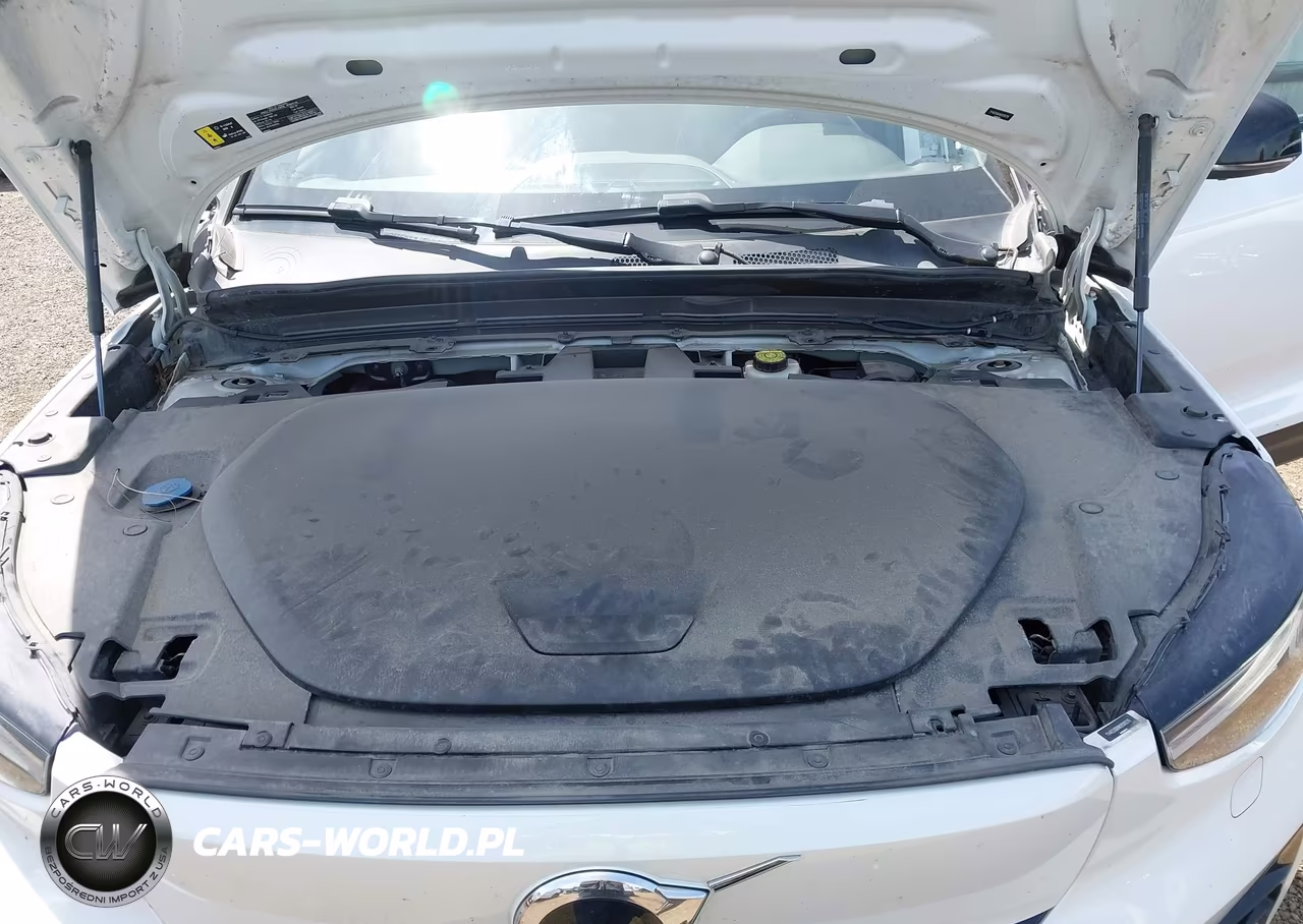2022 Volvo C40 Recharge Pure Electric P8 Ultimate VIN:YV4ED3GB8N2008276 - 10