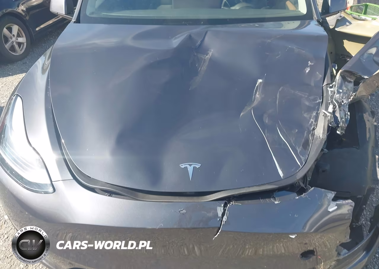 2023 Tesla Model Y Awd-Long Range Dual Motor All-Wheel Drive VIN:7SAYGDEE3PA162839 - 10