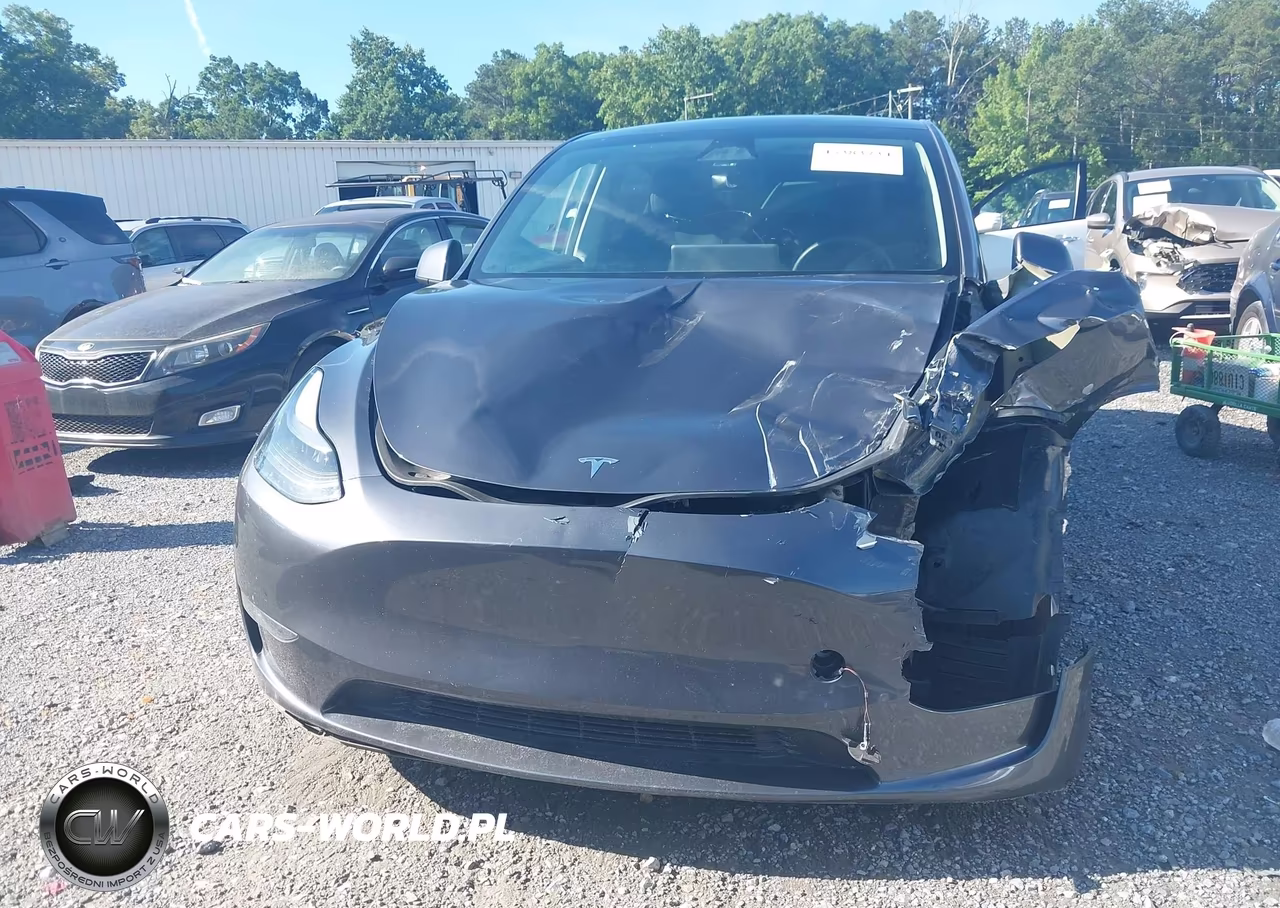 2023 Tesla Model Y Awd-Long Range Dual Motor All-Wheel Drive VIN:7SAYGDEE3PA162839 - 12