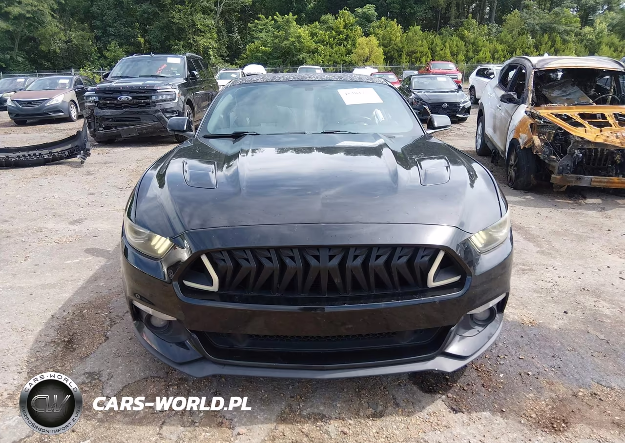 2015 Ford Mustang Gt Premium VIN:1FA6P8CF7F5301130 - 13
