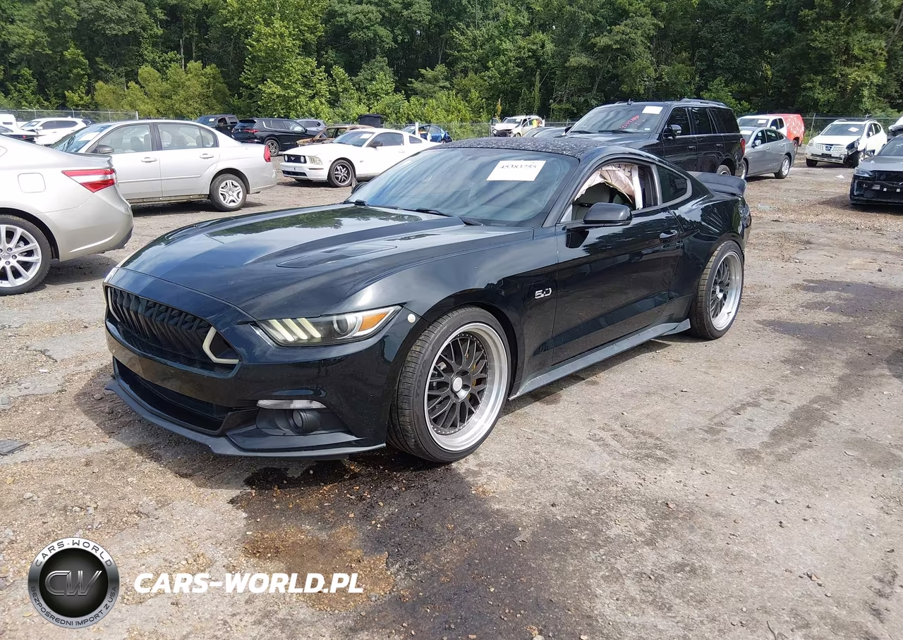 2015 Ford Mustang Gt Premium VIN:1FA6P8CF7F5301130 - 2
