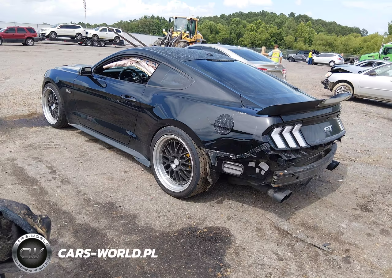 2015 Ford Mustang Gt Premium VIN:1FA6P8CF7F5301130 - 3