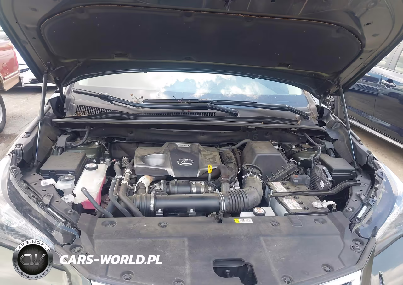 2021 Lexus Nx 300 VIN:JTJDARBZXM2191416 - 10