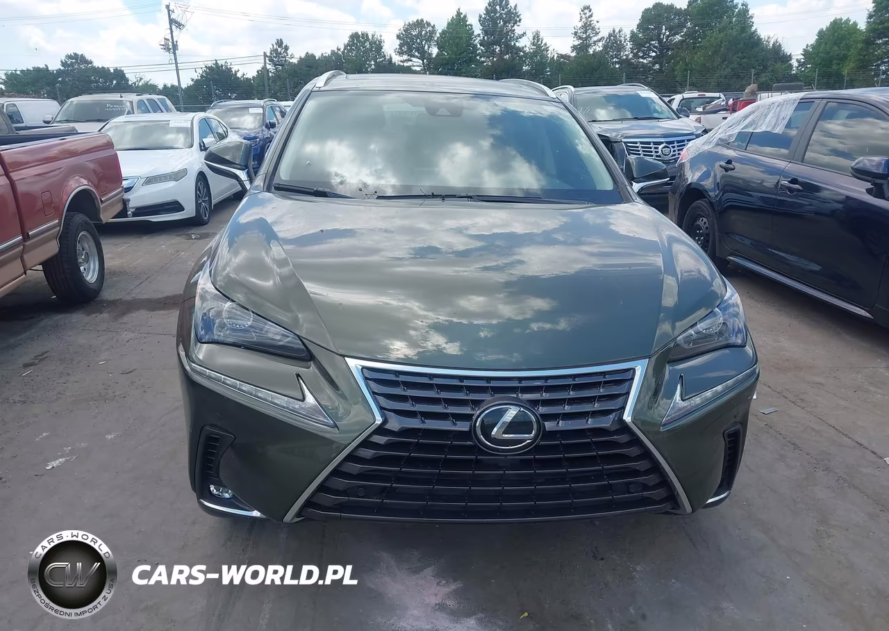 2021 Lexus Nx 300 VIN:JTJDARBZXM2191416 - 12