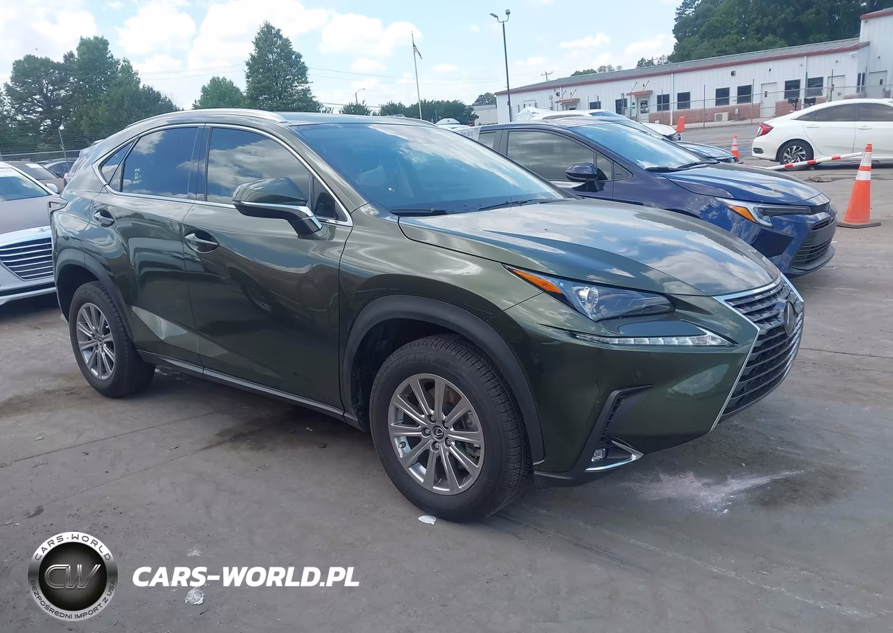 2021 Lexus Nx 300 VIN:JTJDARBZXM2191416 - 13