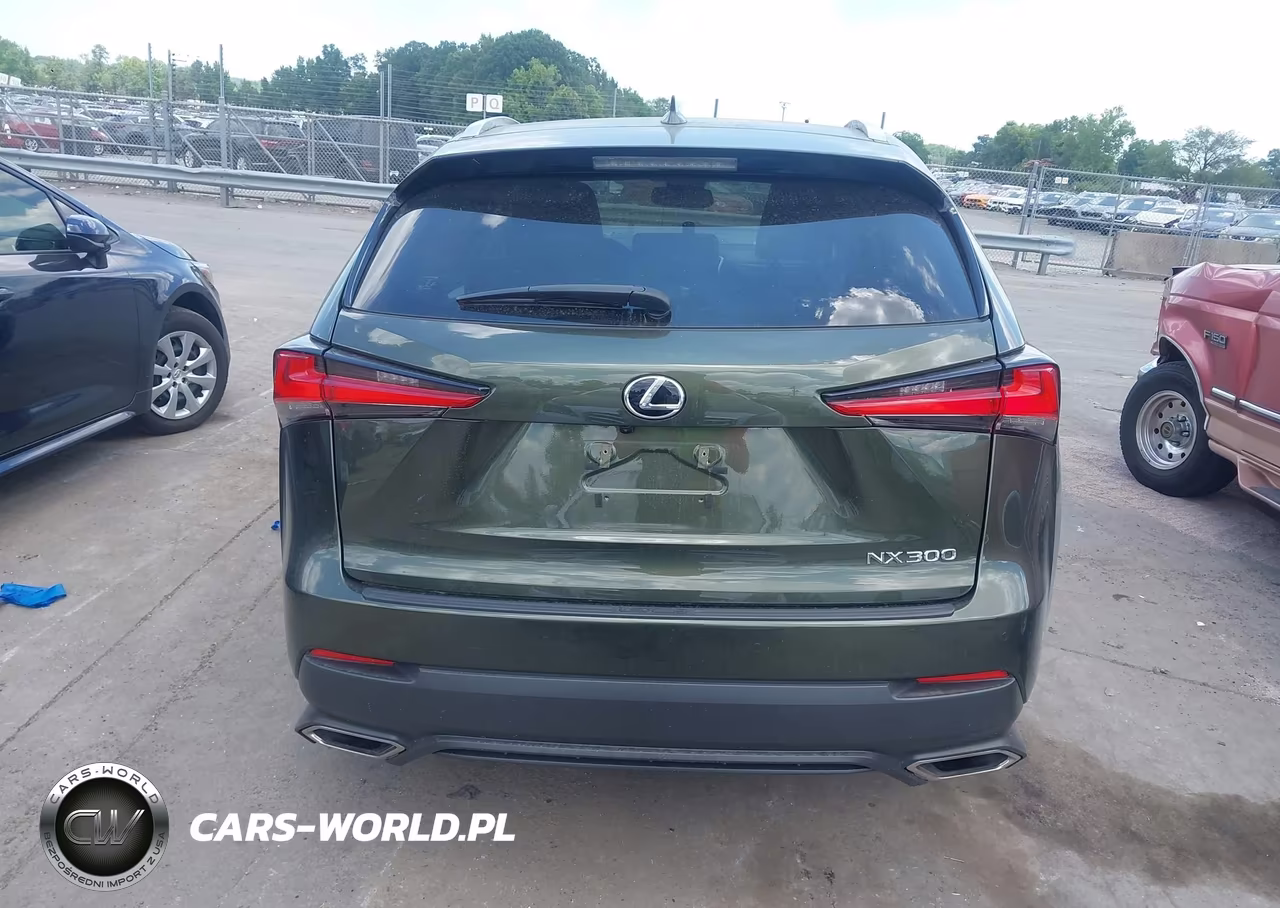 2021 Lexus Nx 300 VIN:JTJDARBZXM2191416 - 16
