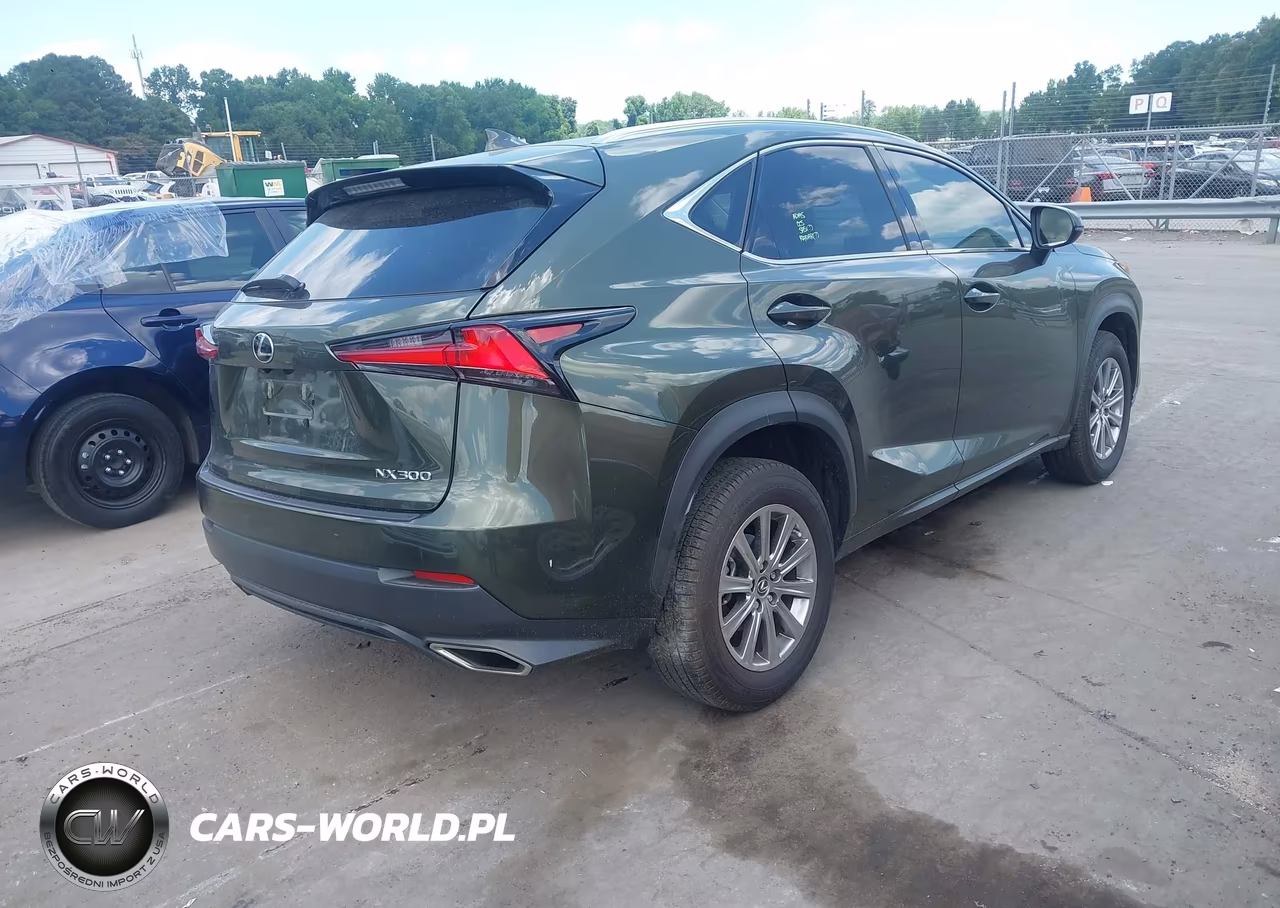 2021 Lexus Nx 300 VIN:JTJDARBZXM2191416 - 4