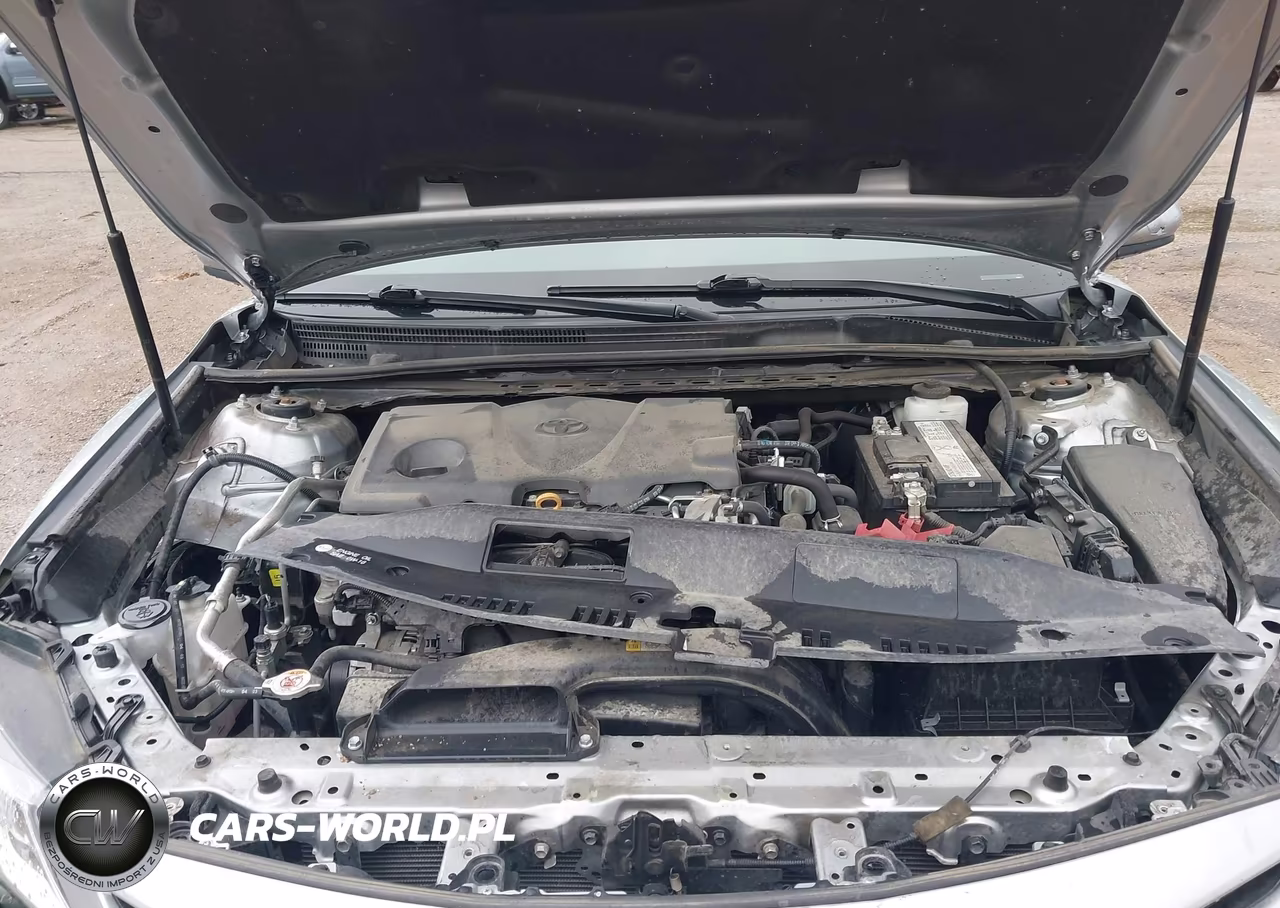 2019 Toyota Camry Se VIN:4T1B11HK6KU812928 - 10