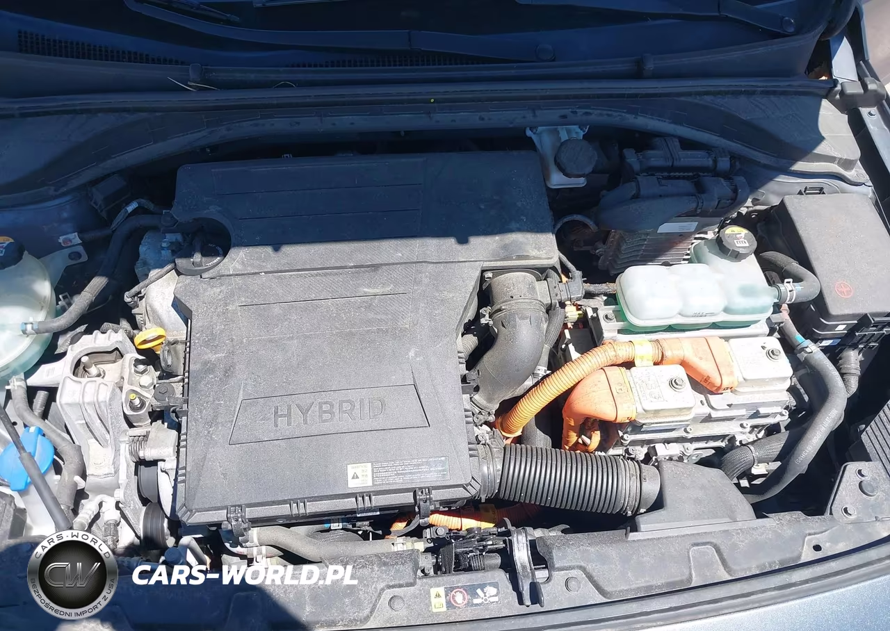 2019 Hyundai Ioniq Hybrid Blue VIN:KMHC65LC3KU117593 - 10