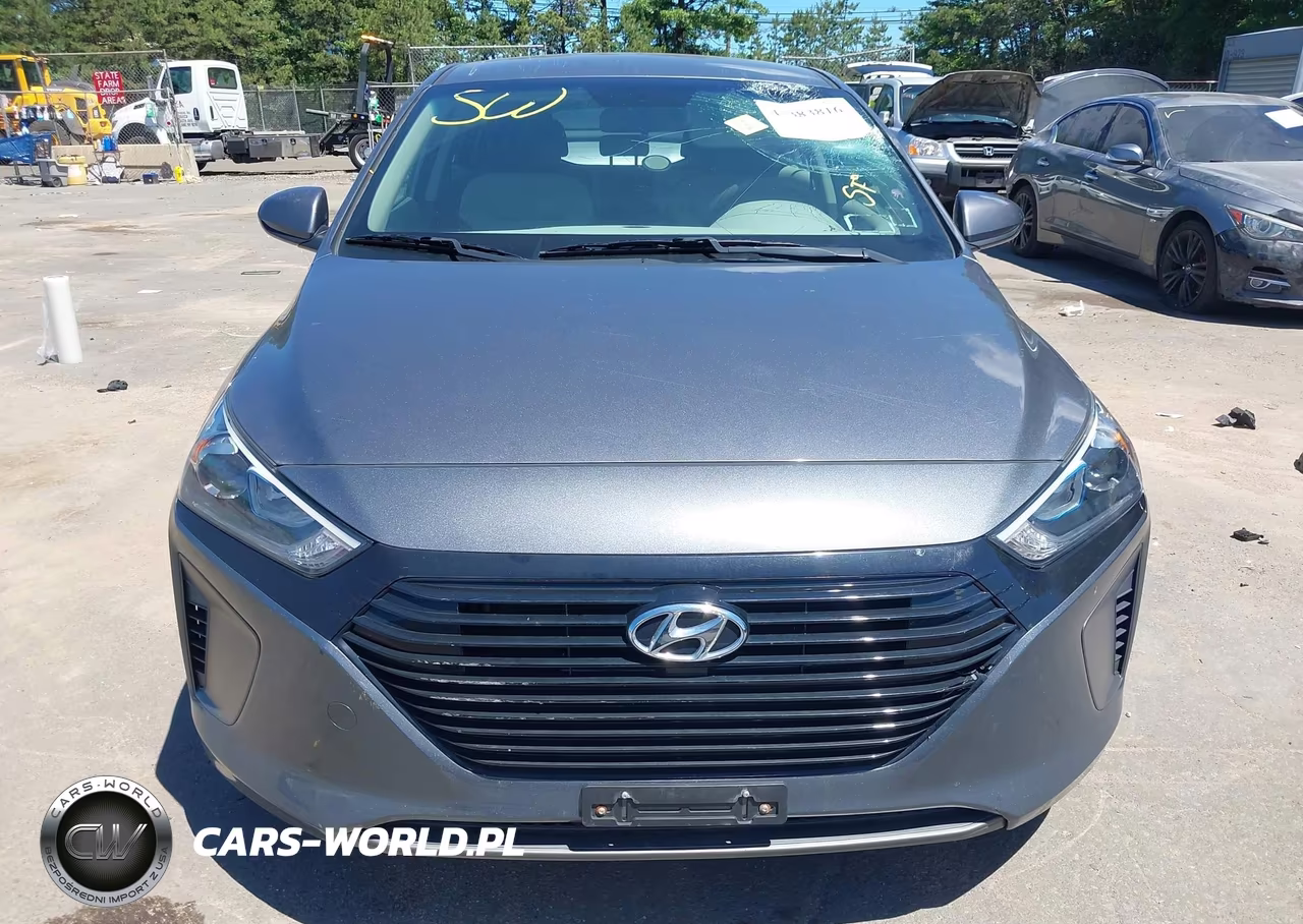 2019 Hyundai Ioniq Hybrid Blue VIN:KMHC65LC3KU117593 - 12
