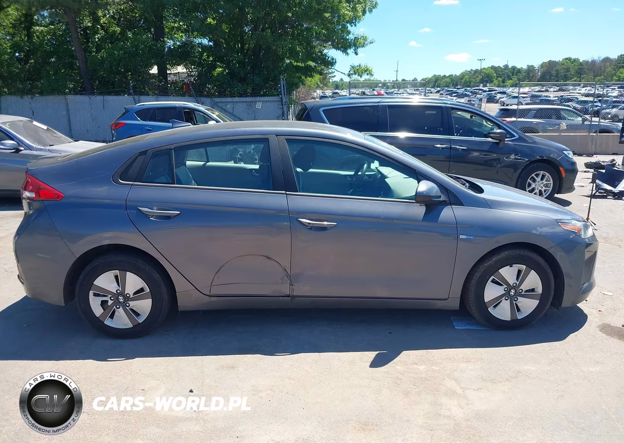 2019 Hyundai Ioniq Hybrid Blue VIN:KMHC65LC3KU117593 - 13