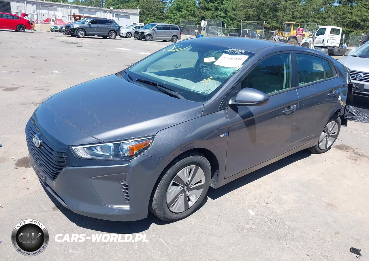 2019 Hyundai Ioniq Hybrid Blue VIN:KMHC65LC3KU117593 - 2