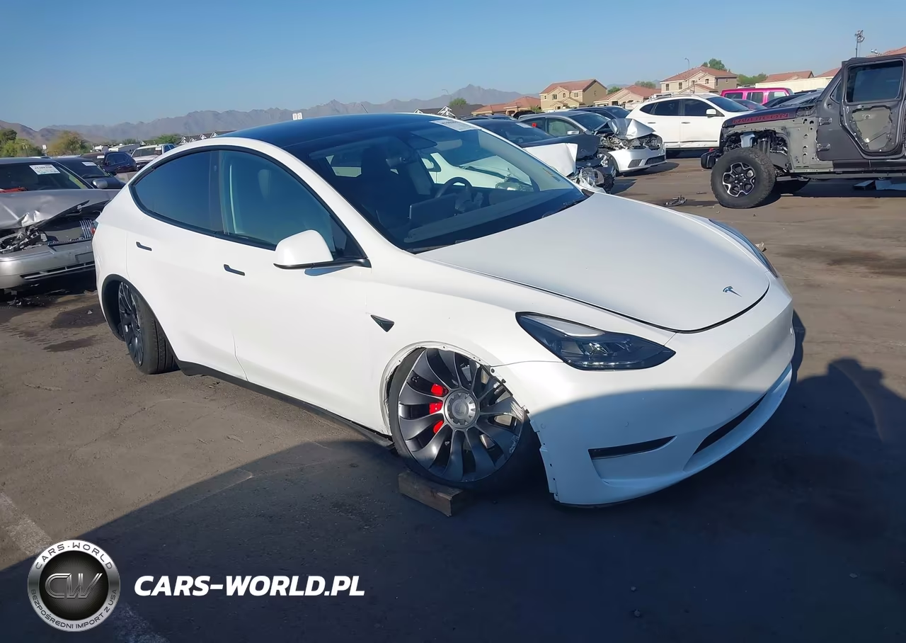 2022 Tesla Model Y Performance Dual Motor All-Wheel Drive VIN:7SAYGDEFXNF409525 - 6