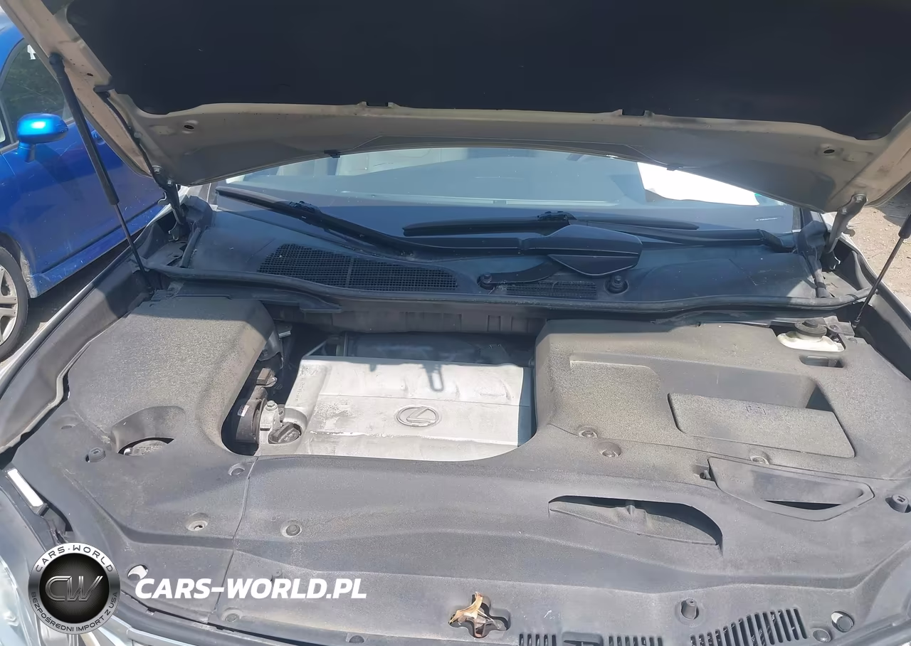 2015 Lexus Rx 350 VIN:2T2BK1BA0FC283752 - 10