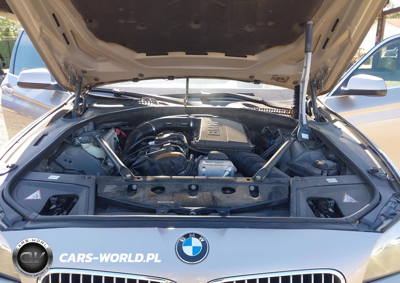 2011 BMW 535I VIN:WBAFR7C58BC805307 - 10