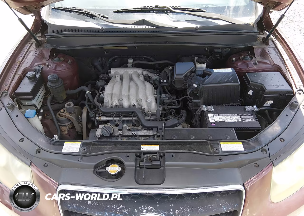 2007 Hyundai Santa Fe Gls VIN:5NMSG13D57H052100 - 10