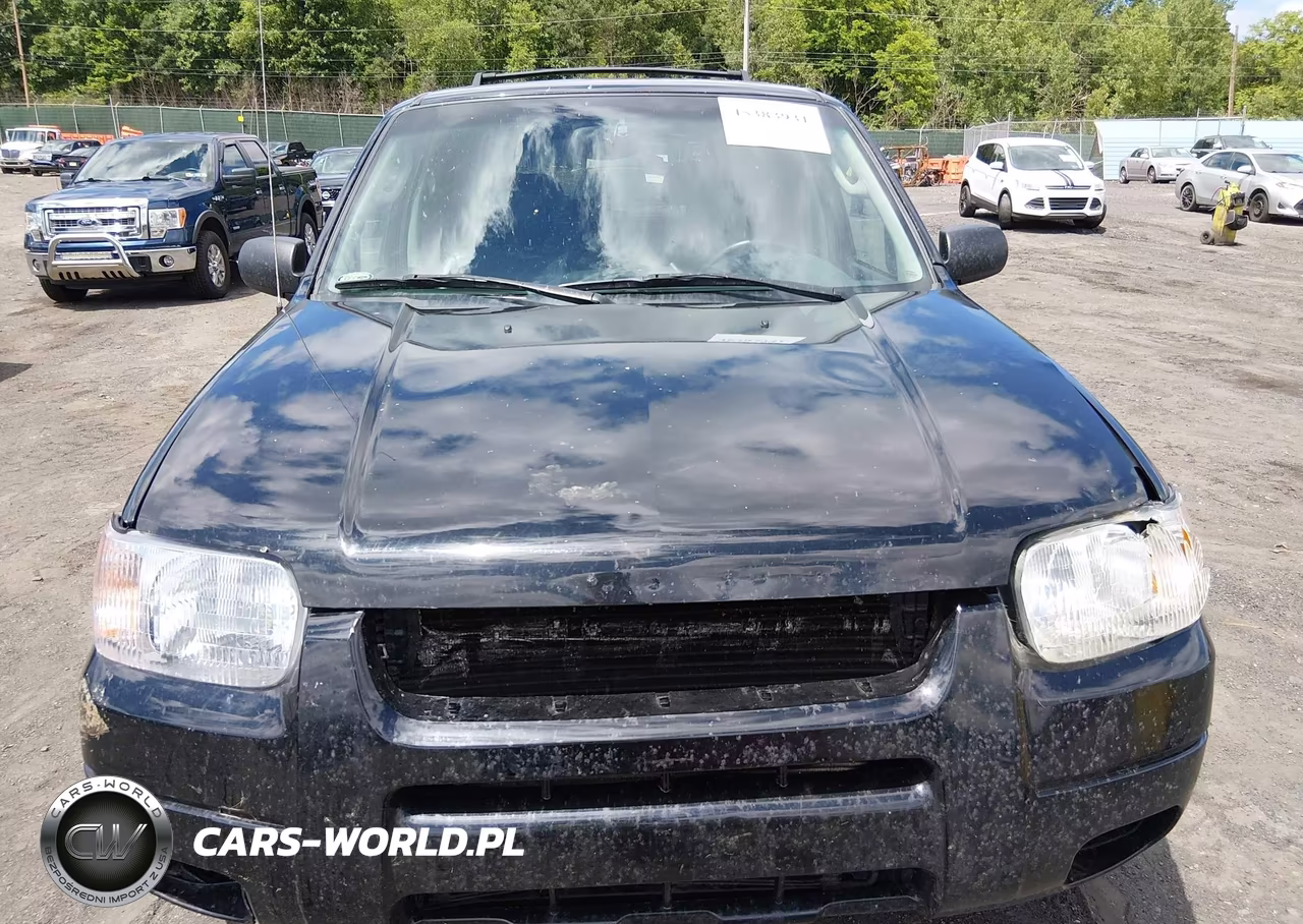 2003 Ford Escape Limited VIN:1FMCU94143KA72218 - 12