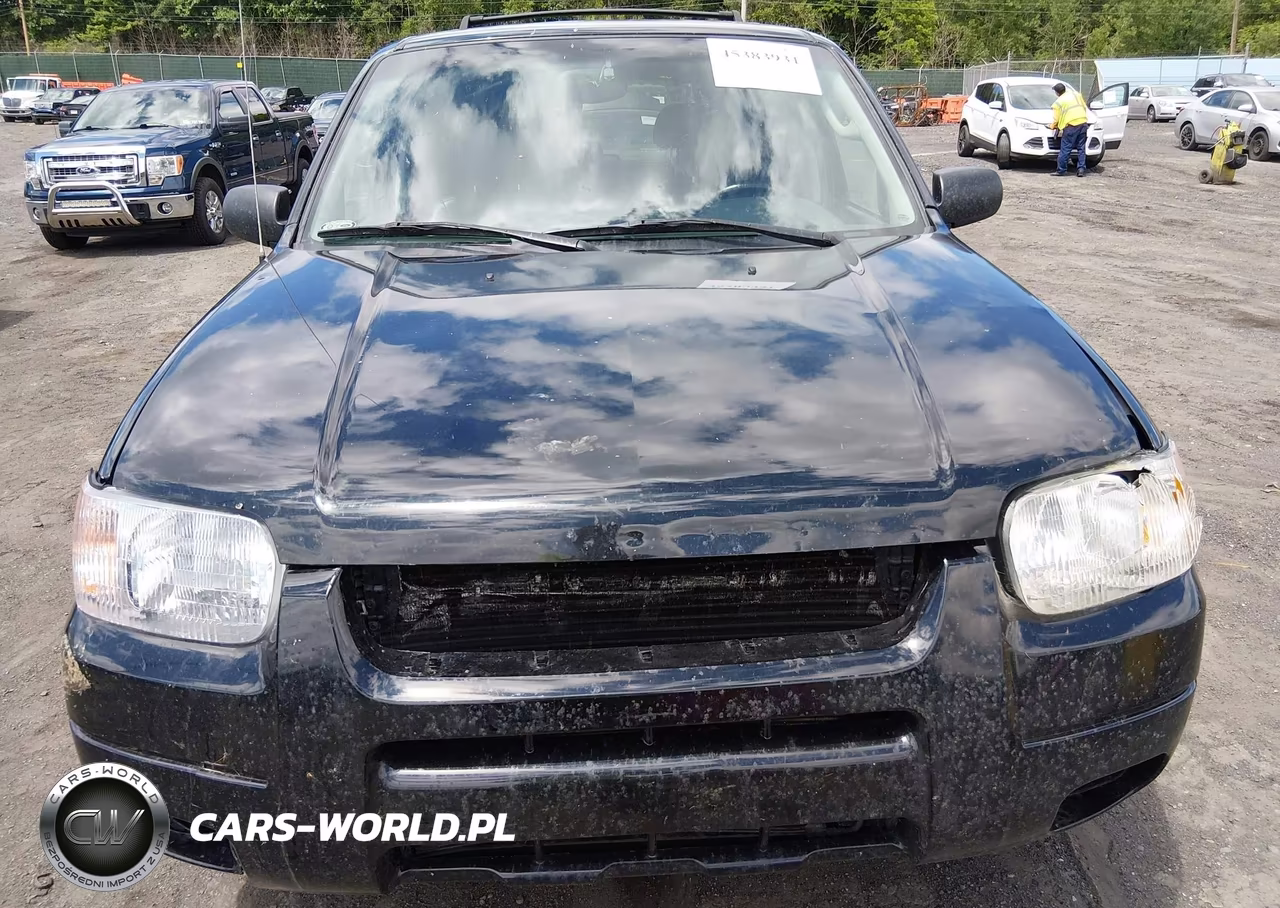 2003 Ford Escape Limited VIN:1FMCU94143KA72218 - 6