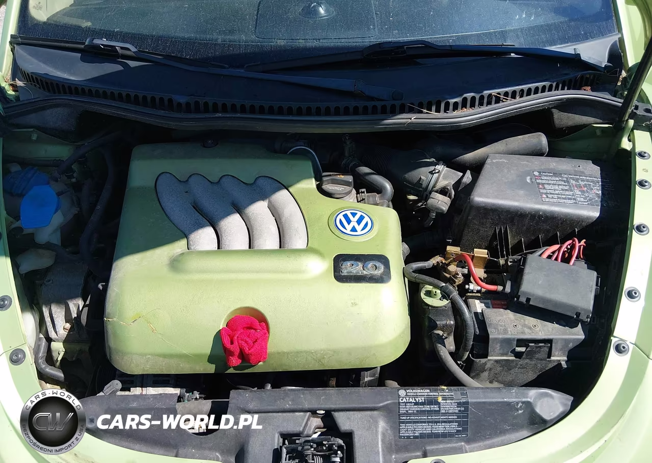 2005 Volkswagen New Beetle Gls VIN:3VWCM31Y05M366579 - 10