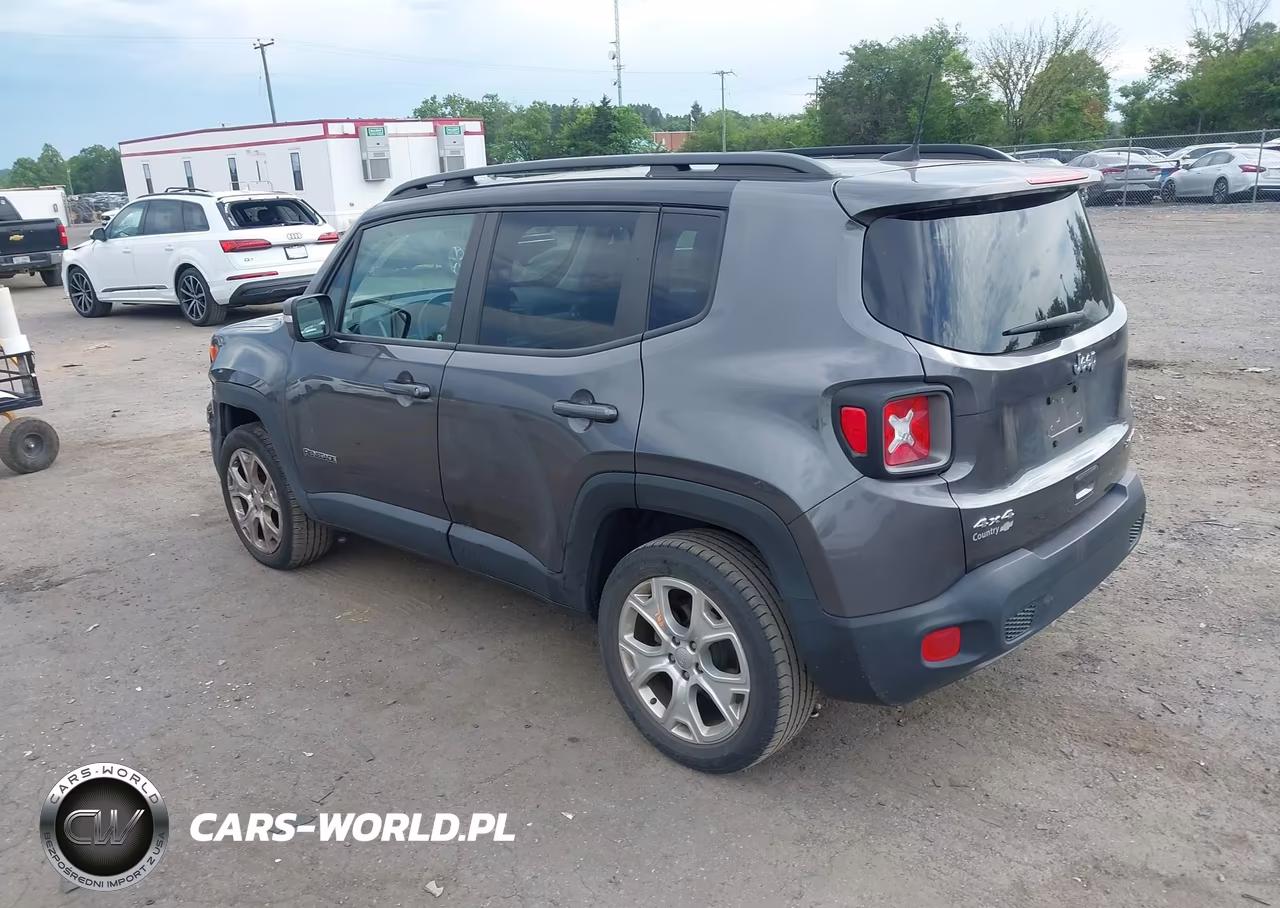 2020 Jeep Renegade Limited 4X4 VIN:ZACNJBD18LPM06539 - 3