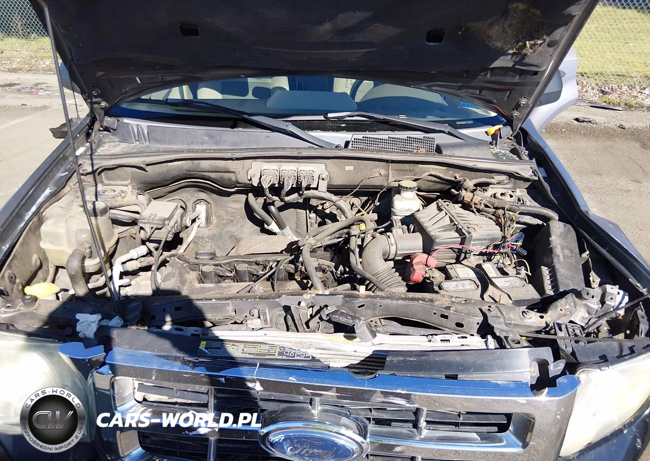 2008 Ford Escape Xlt VIN:1FMCU03Z28KB83831 - 10