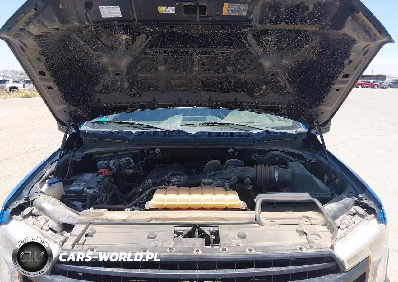 2019 Ford F-150 Xl VIN:1FTEW1EB0KFA22326 - 10