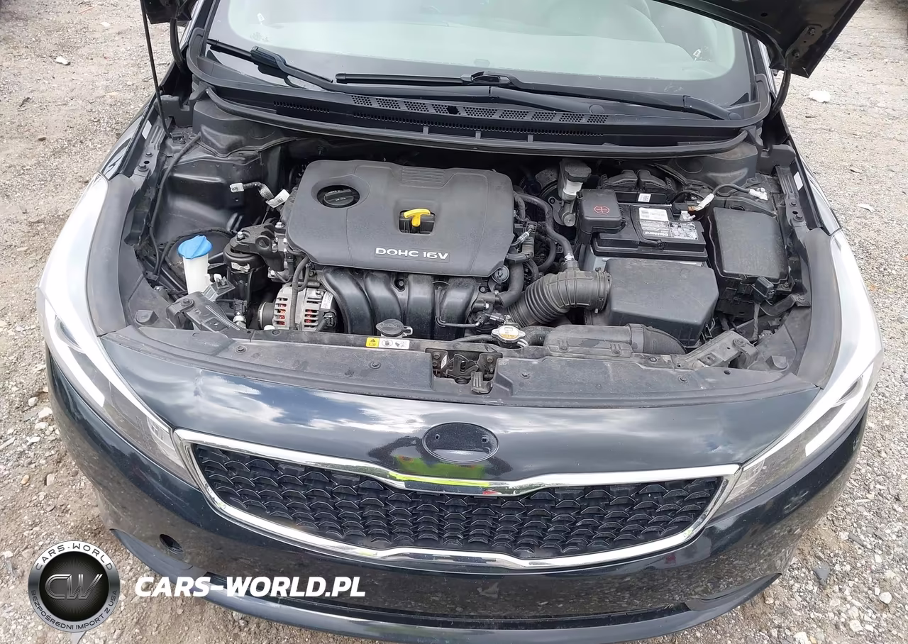 2018 Kia Forte Lx VIN:3KPFK4A77JE269449 - 10