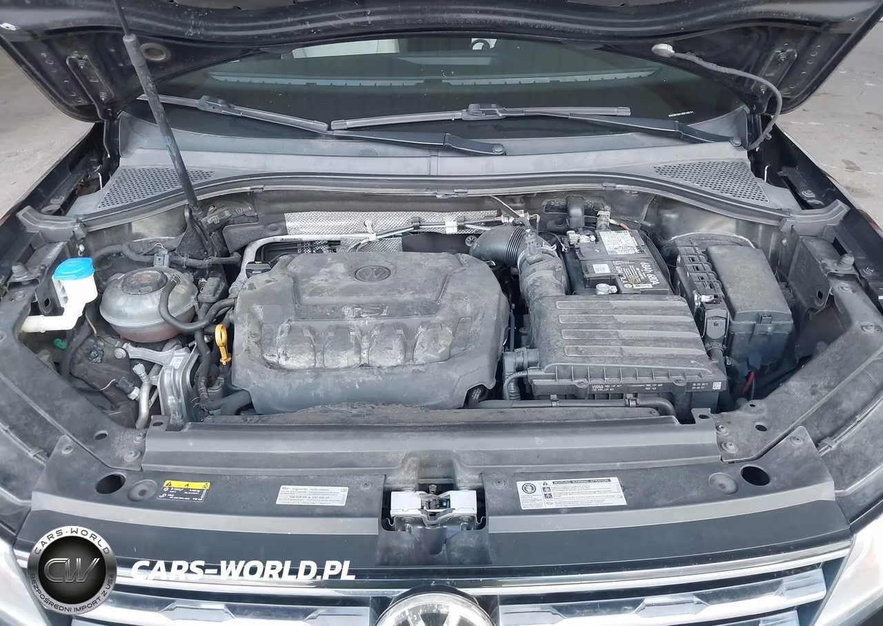 2019 Volkswagen Tiguan 2.0T Se-2.0T Sel-2.0T Sel R-Line-2.0T Sel R-Line Black VIN:3VV3B7AX1KM106731 - 10