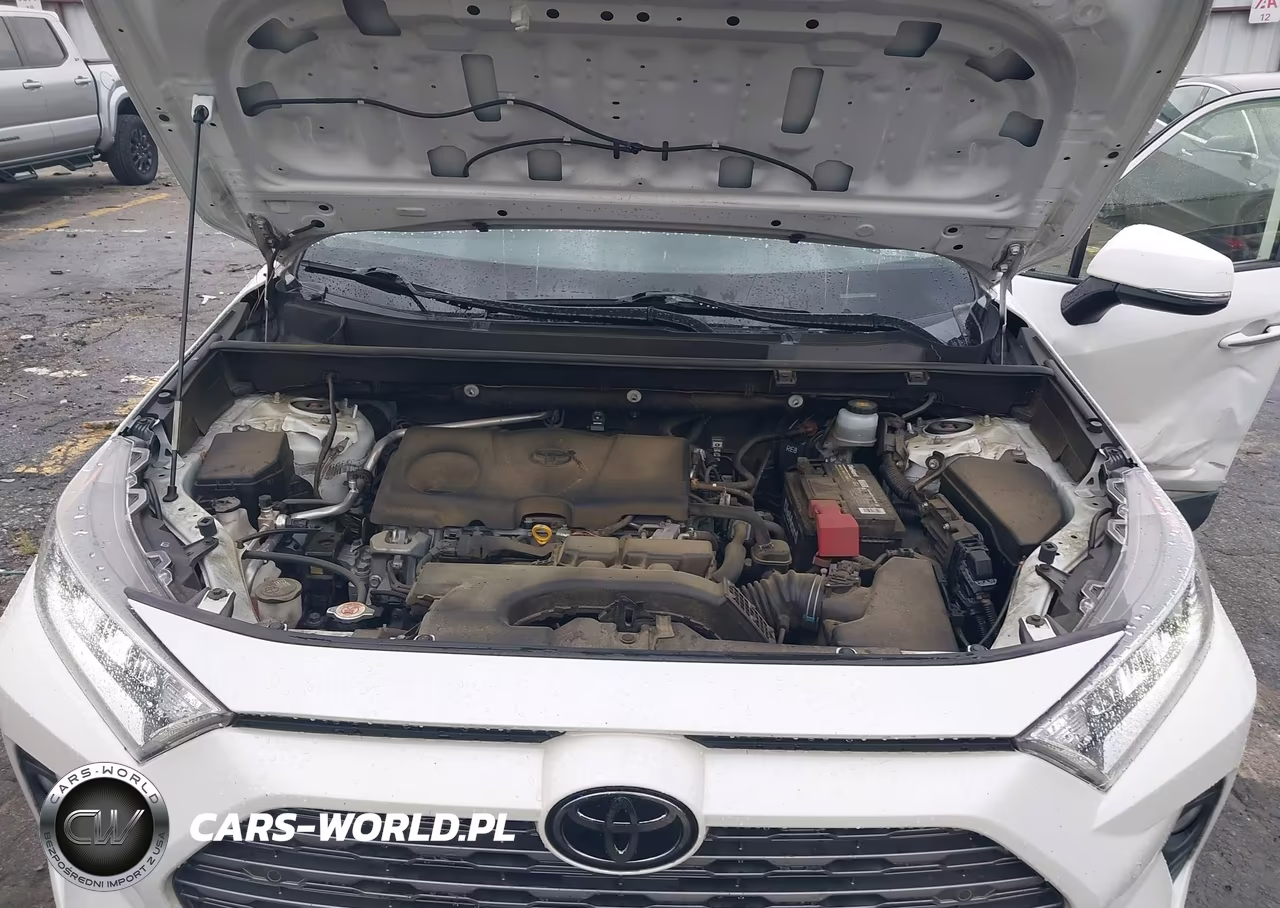 2019 Toyota Rav4 Limited VIN:JTMY1RFV1KJ014400 - 10