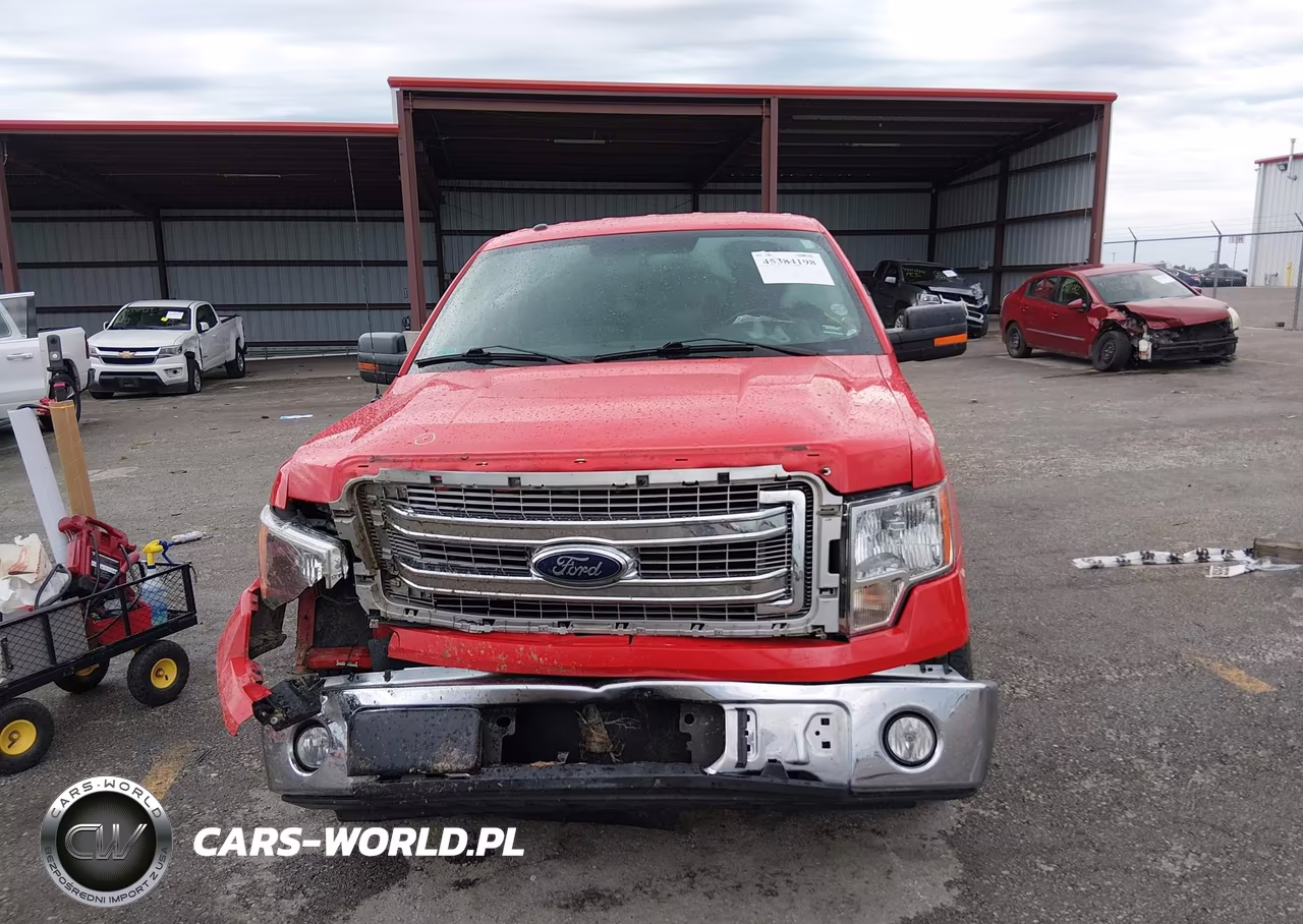 2013 Ford F-150 Xlt VIN:1FTFX1CF7DFC42377 - 13