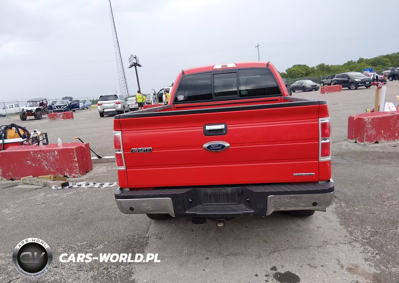2013 Ford F-150 Xlt VIN:1FTFX1CF7DFC42377 - 17