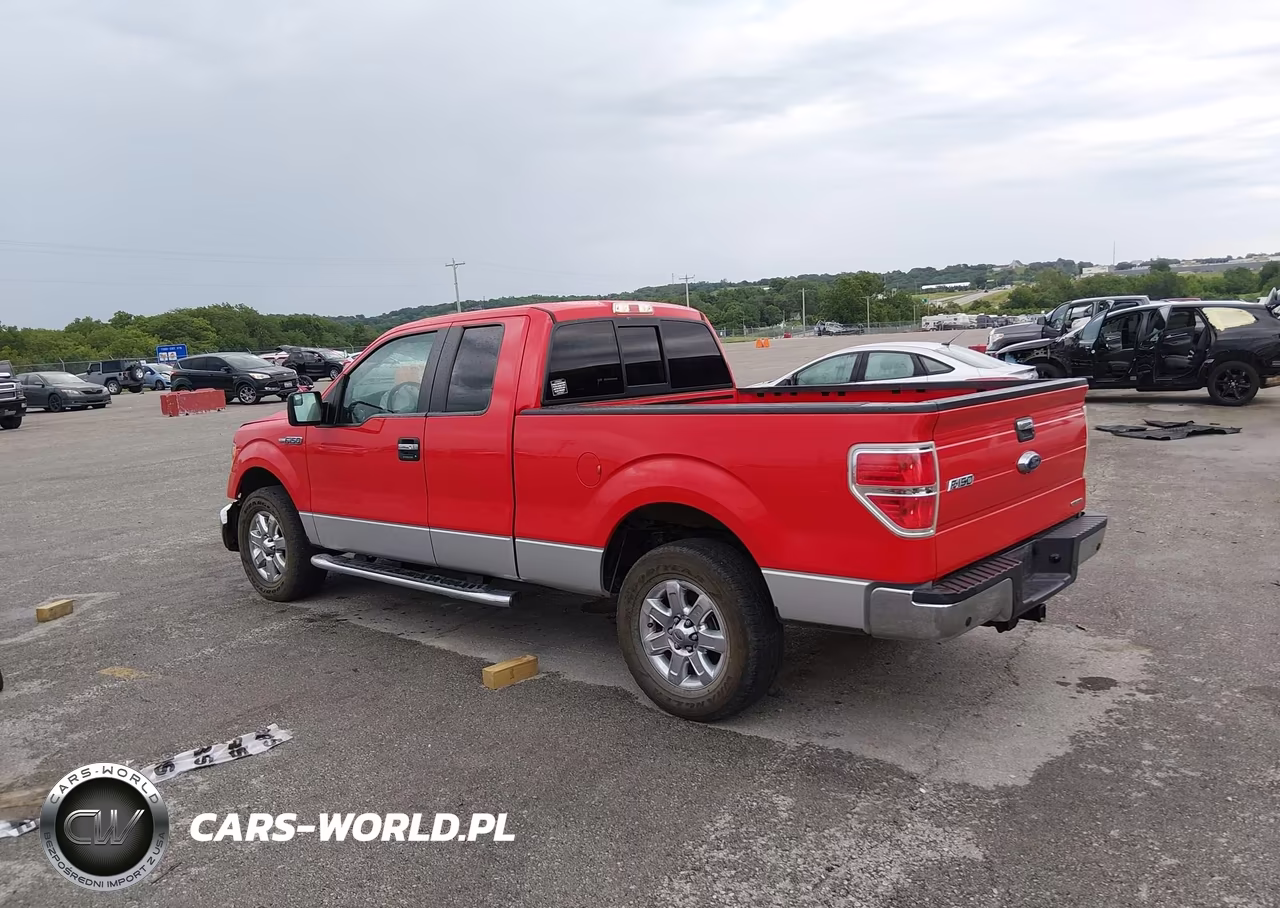 2013 Ford F-150 Xlt VIN:1FTFX1CF7DFC42377 - 3