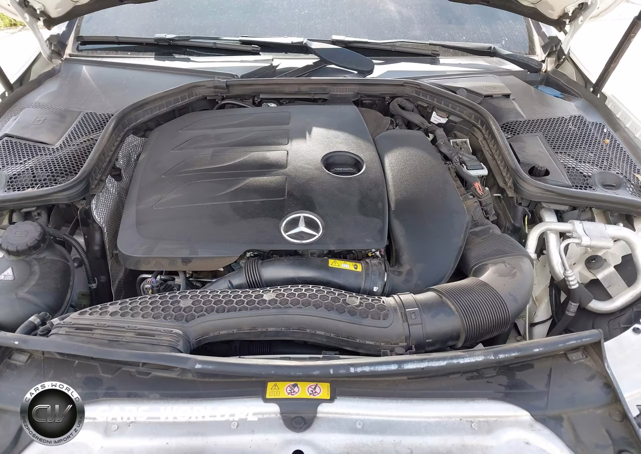 2019 Mercedes-Benz C 300 4Matic VIN:55SWF8EB1KU304815 - 10