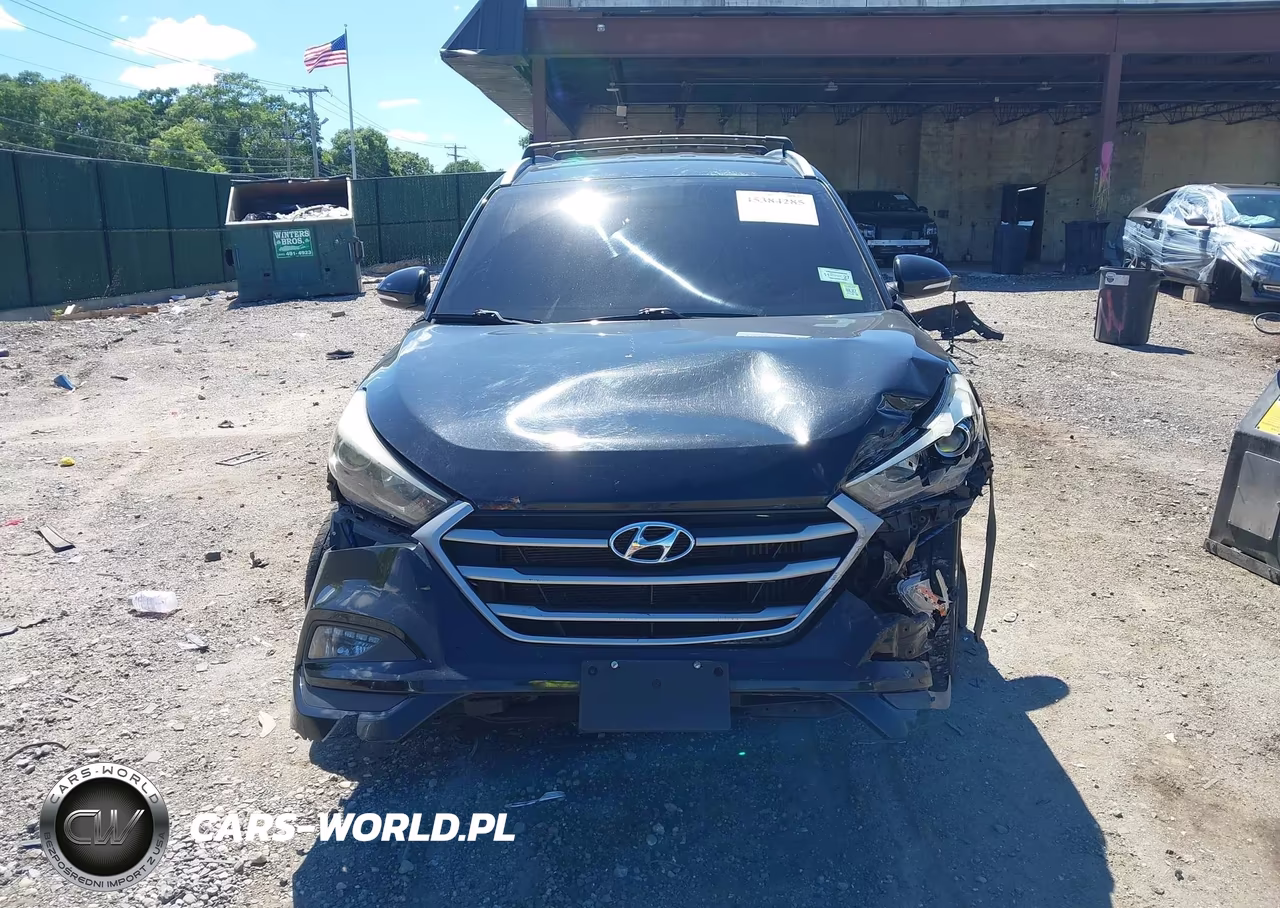 2017 Hyundai Tucson Sport VIN:KM8J3CA20HU301042 - 13