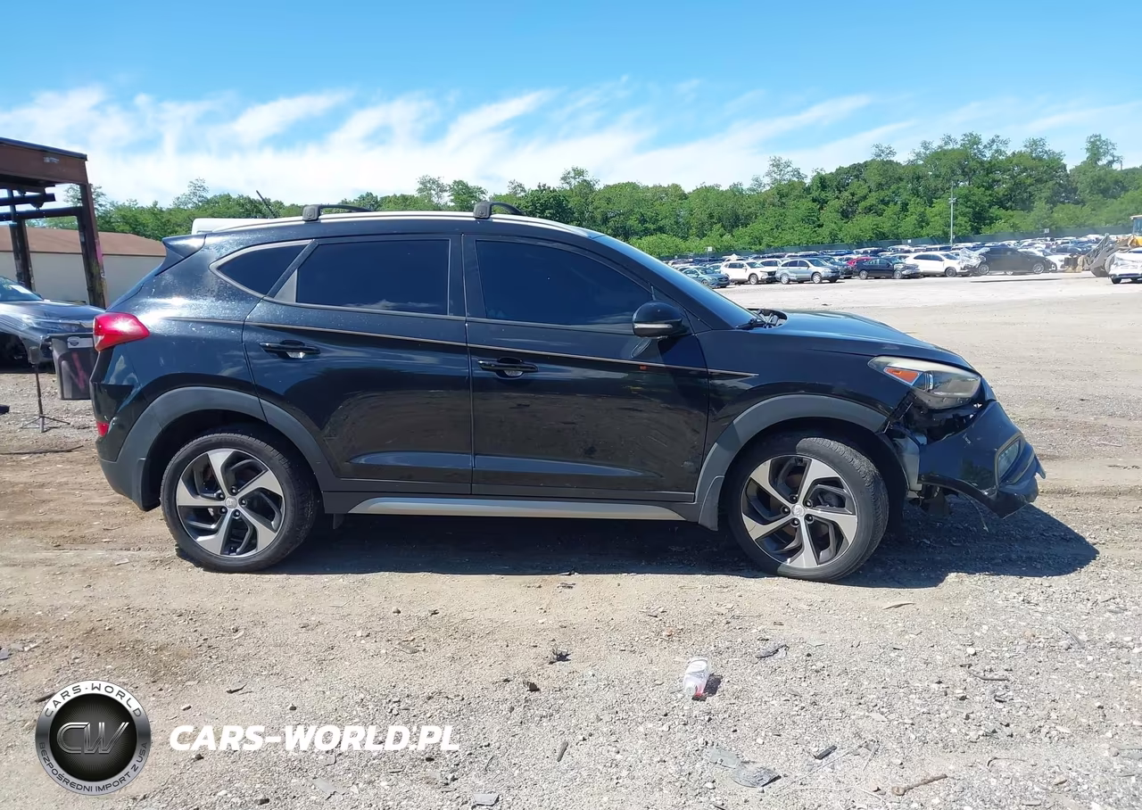 2017 Hyundai Tucson Sport VIN:KM8J3CA20HU301042 - 14