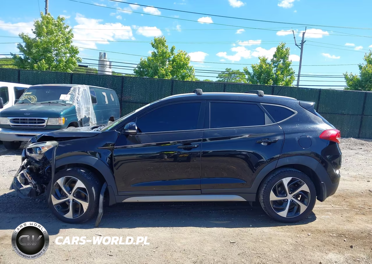 2017 Hyundai Tucson Sport VIN:KM8J3CA20HU301042 - 15
