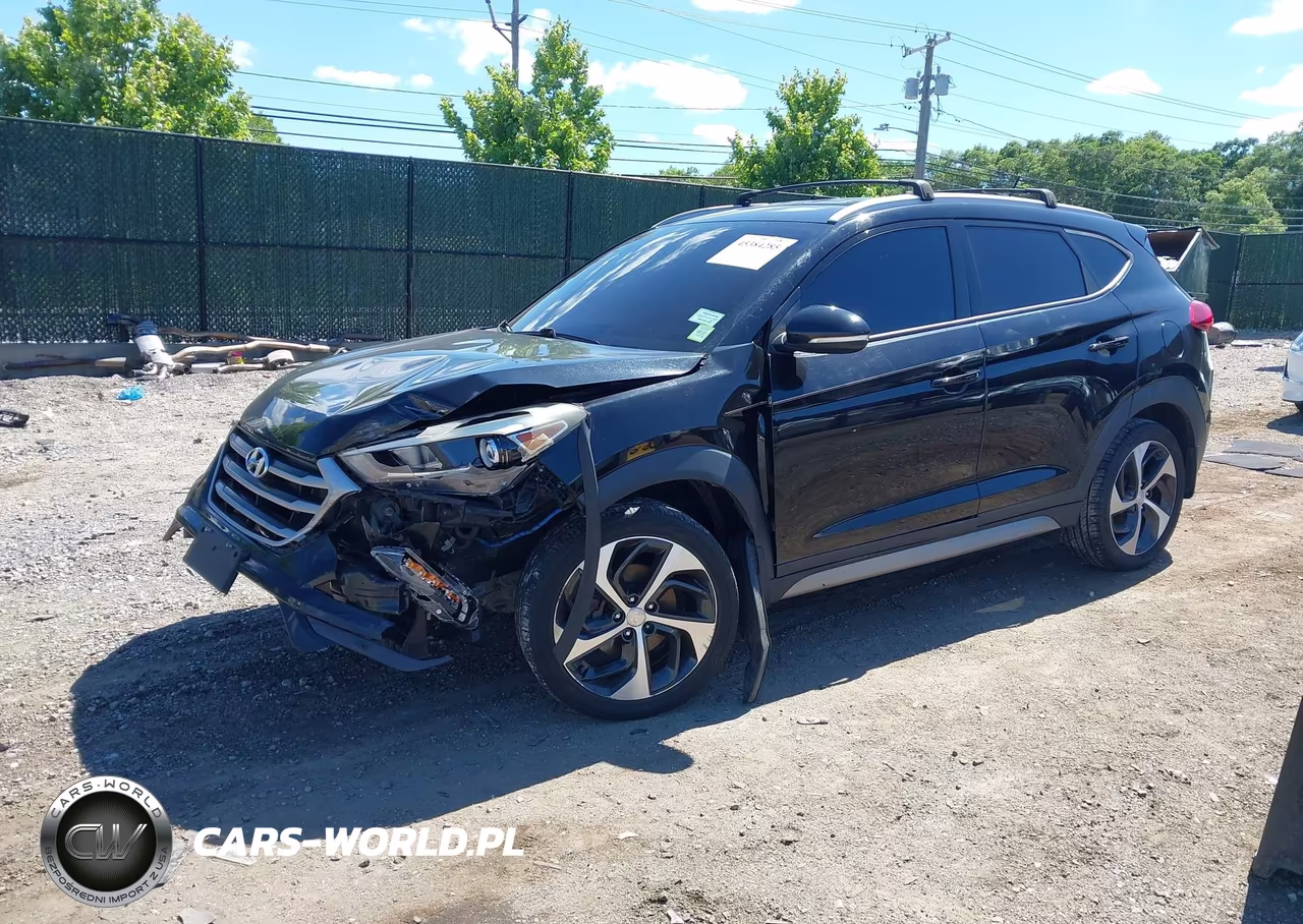 2017 Hyundai Tucson Sport VIN:KM8J3CA20HU301042 - 2