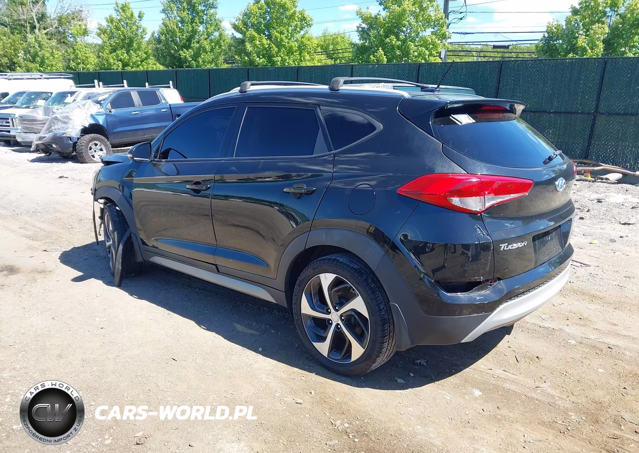 2017 Hyundai Tucson Sport VIN:KM8J3CA20HU301042 - 3