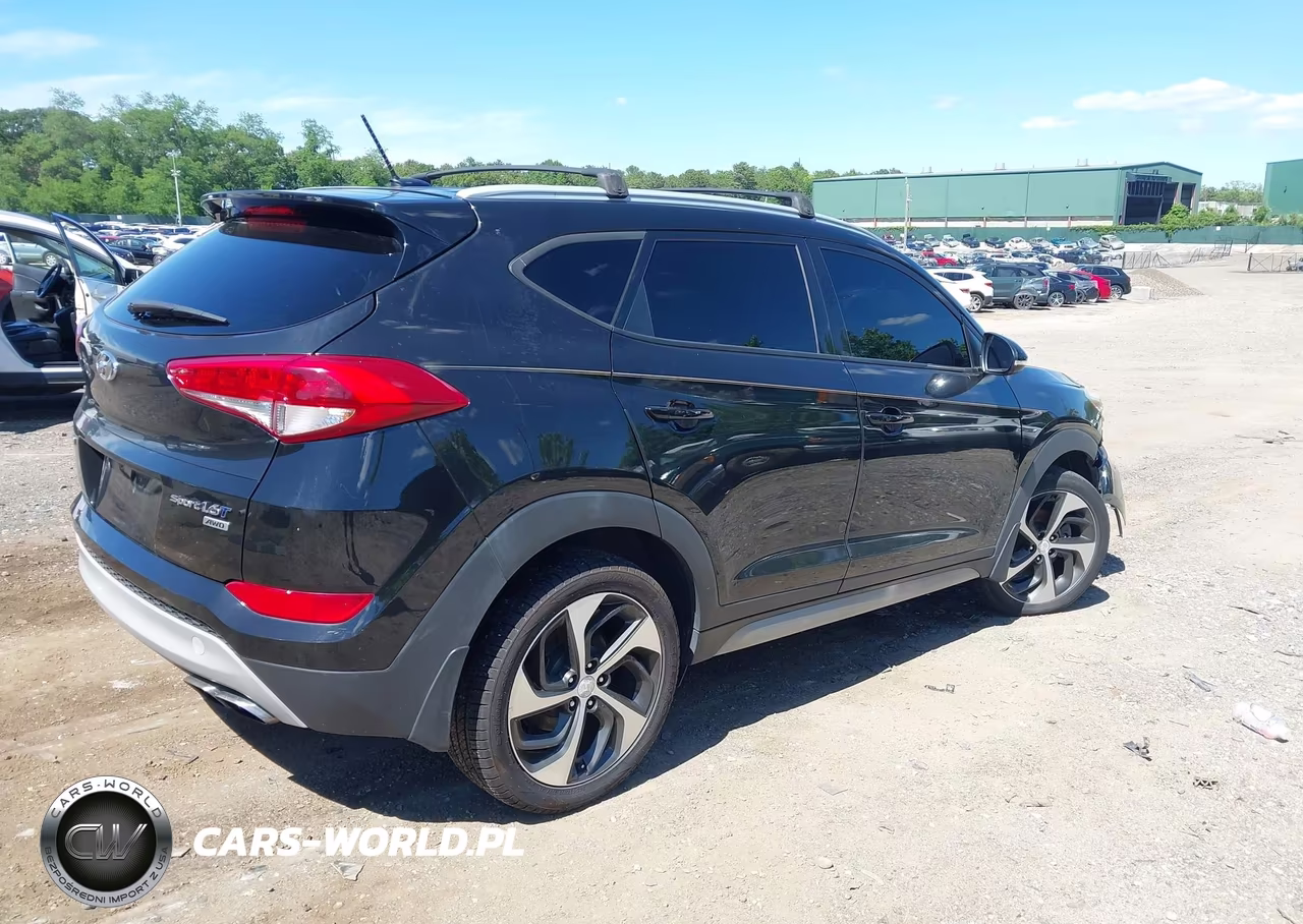 2017 Hyundai Tucson Sport VIN:KM8J3CA20HU301042 - 4
