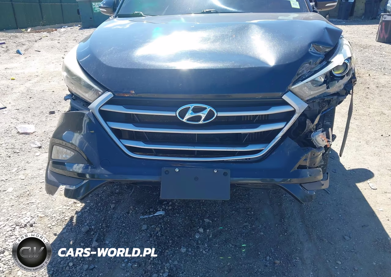 2017 Hyundai Tucson Sport VIN:KM8J3CA20HU301042 - 6