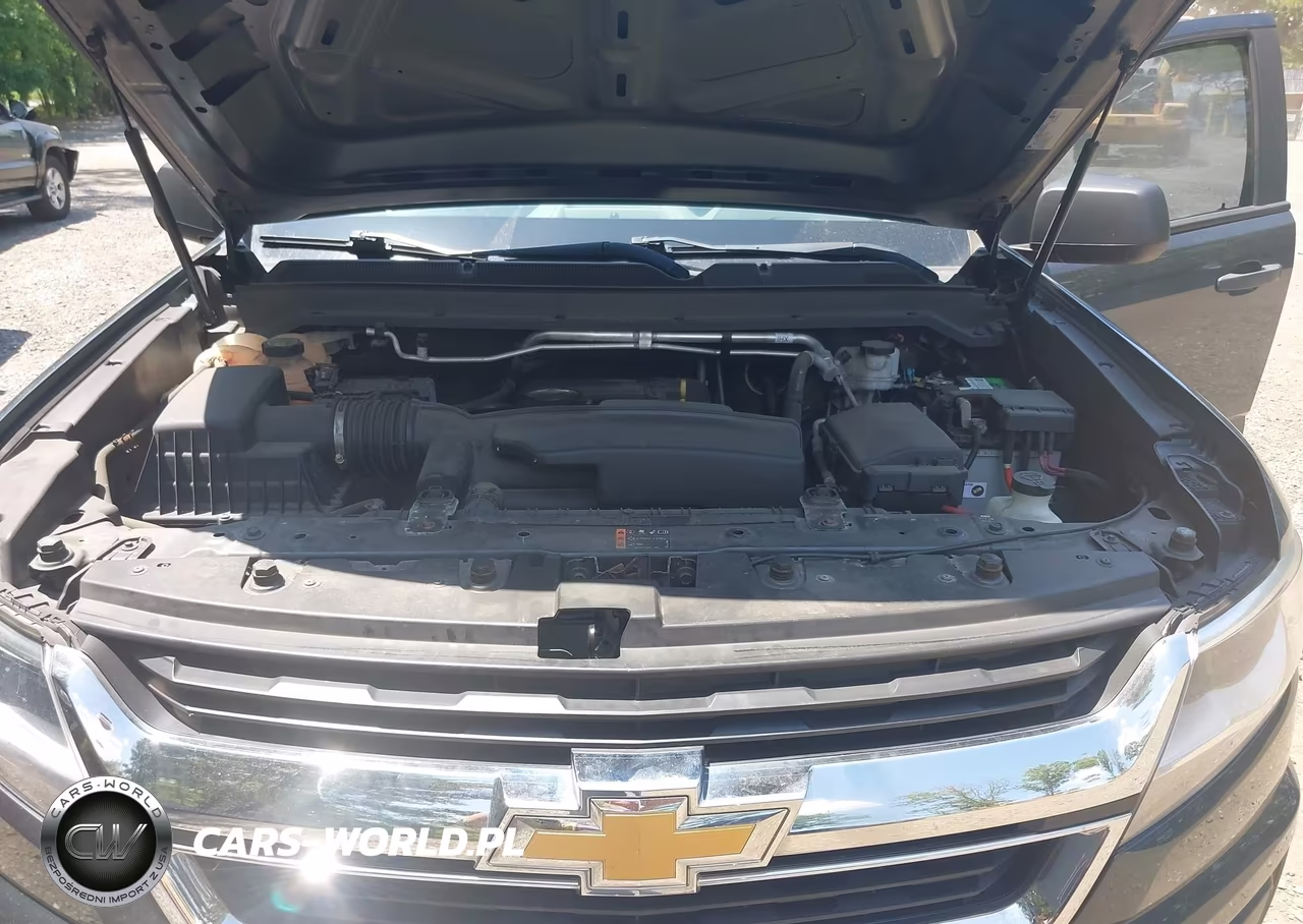 2019 Chevrolet Colorado Wt VIN:1GCHTBEA3K1319073 - 10