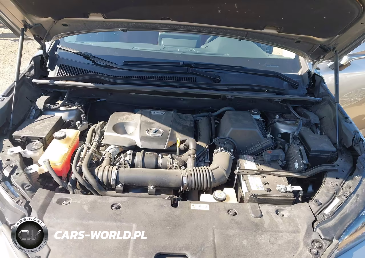 2019 Lexus Nx 300 VIN:JTJYARBZ4K2136460 - 10