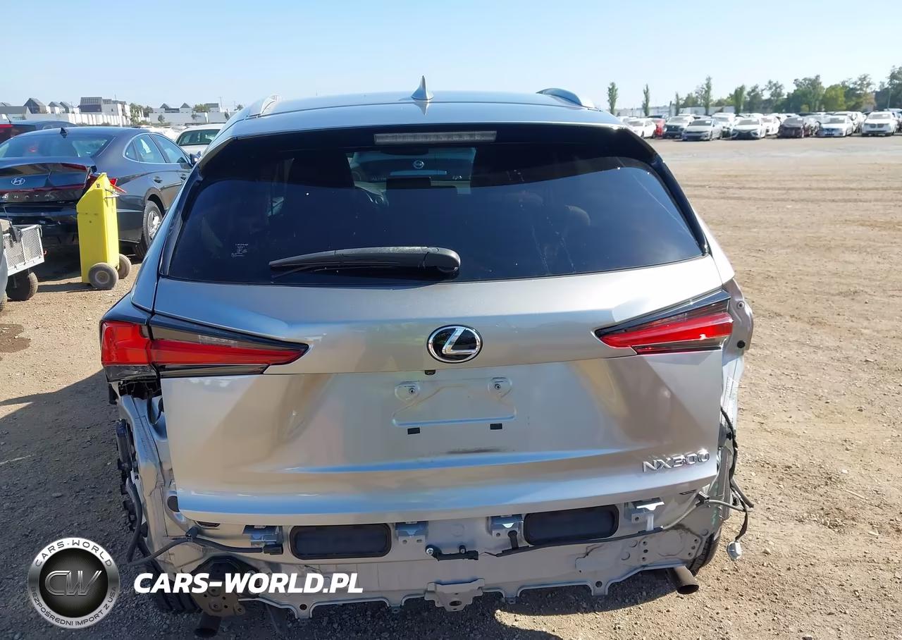2019 Lexus Nx 300 VIN:JTJYARBZ4K2136460 - 17