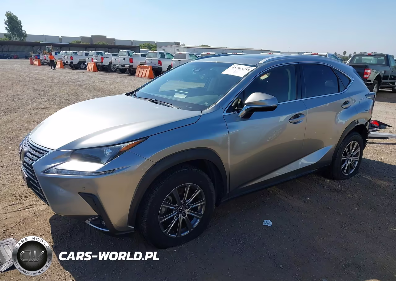 2019 Lexus Nx 300 VIN:JTJYARBZ4K2136460 - 2