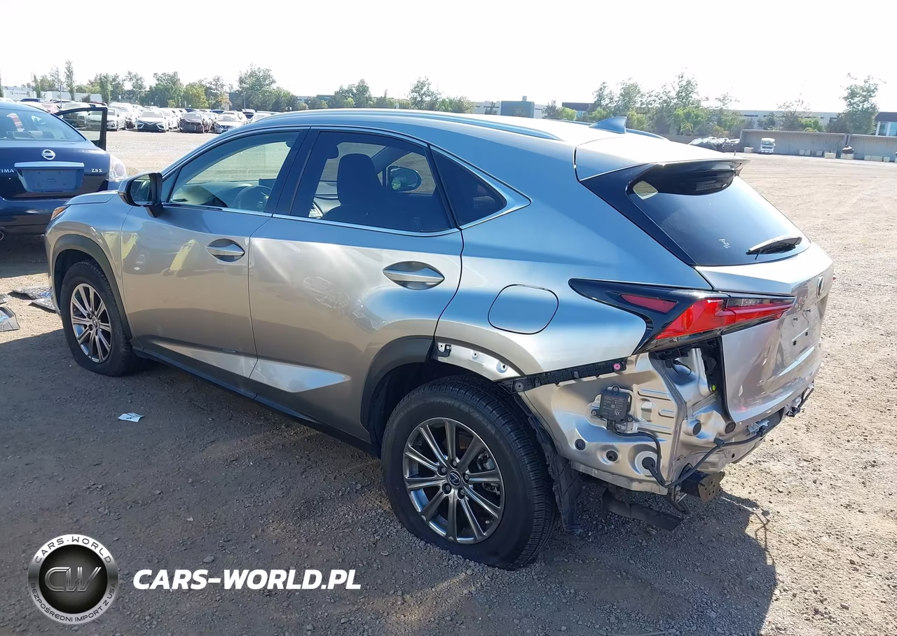 2019 Lexus Nx 300 VIN:JTJYARBZ4K2136460 - 3