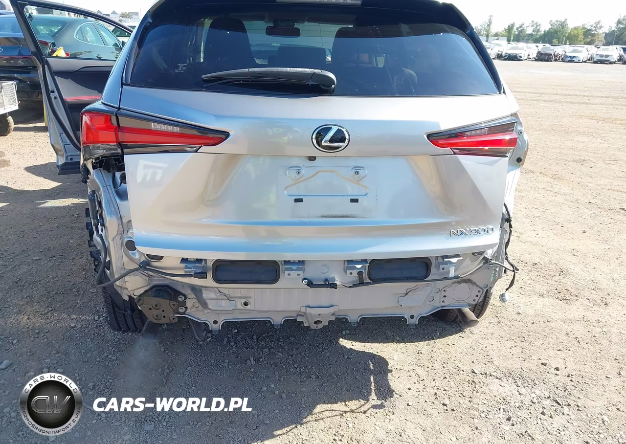 2019 Lexus Nx 300 VIN:JTJYARBZ4K2136460 - 6