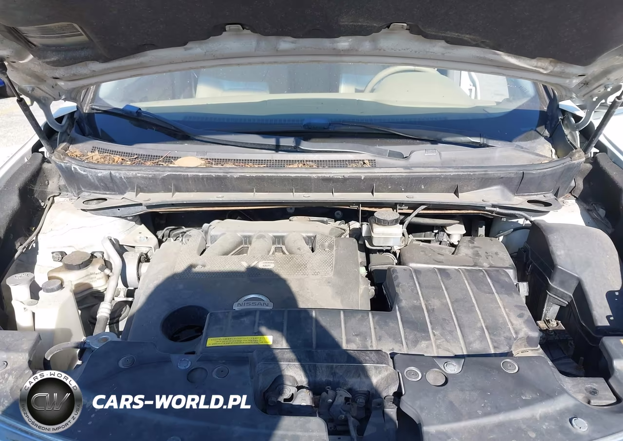 2011 Nissan Murano Le VIN:JN8AZ1MUXBW053807 - 10