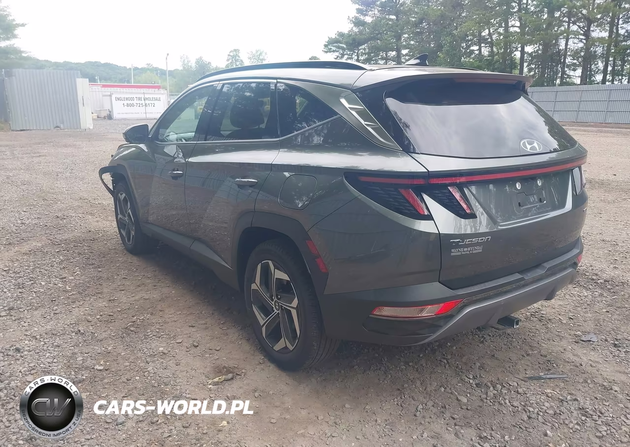 2022 Hyundai Tucson Limited VIN:5NMJECAE9NH115477 - 3
