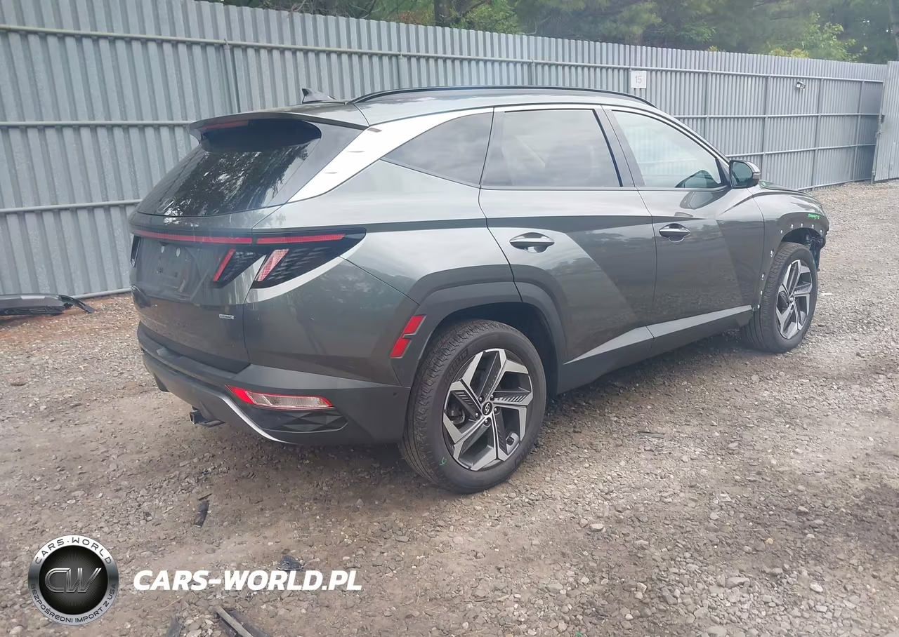 2022 Hyundai Tucson Limited VIN:5NMJECAE9NH115477 - 4