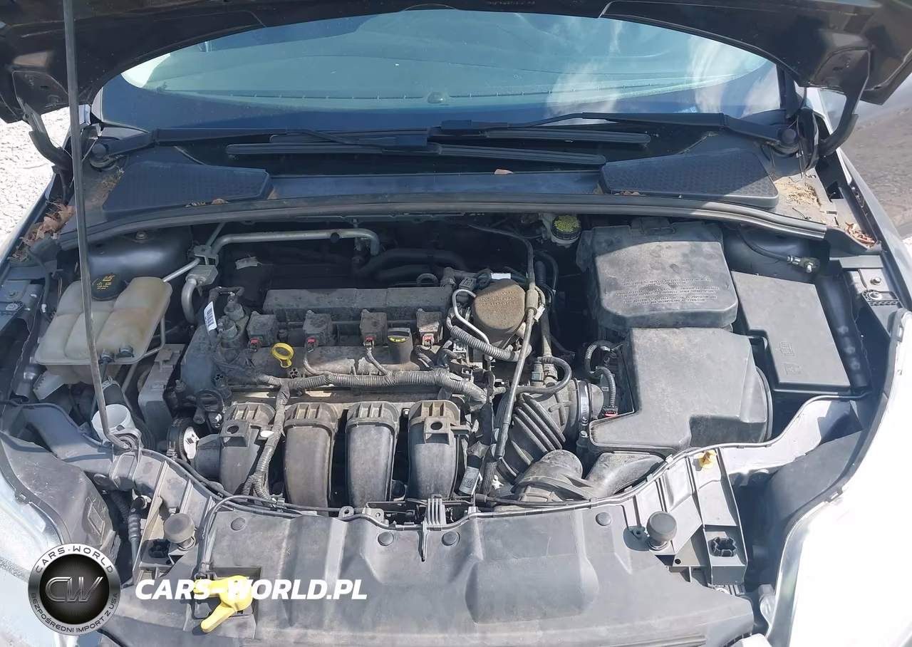 2014 Ford Focus Se VIN:1FADP3F21EL437976 - 10